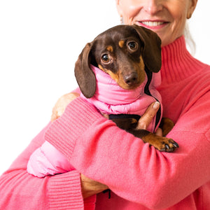 Pet locker puffer coat