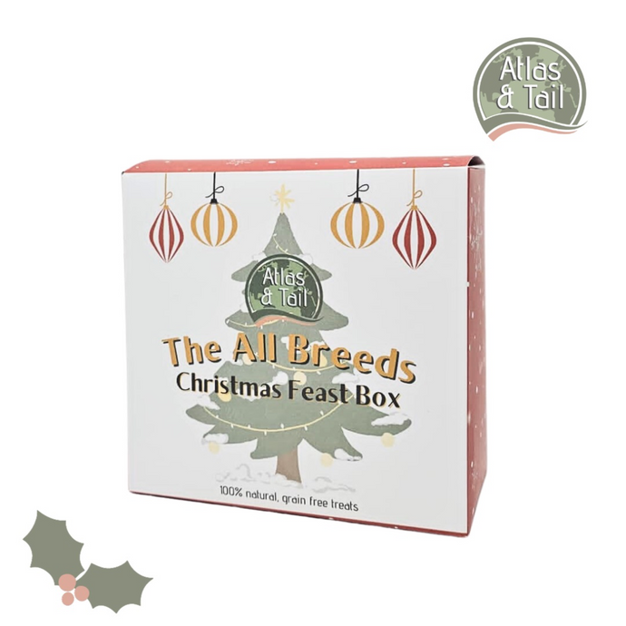 Atlas and Tail All Breeds Christmas feast box