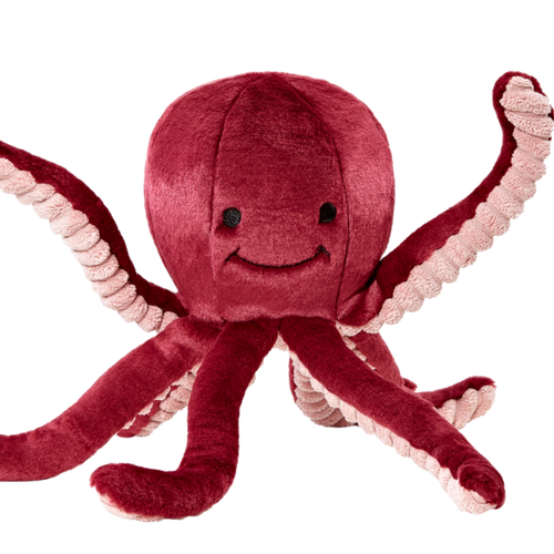 Olympia Octopus medium