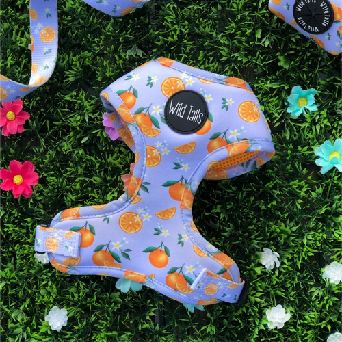 Orange blossom harness