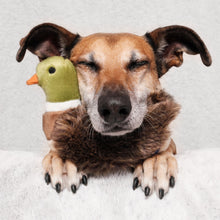 Load image into Gallery viewer, Morley Mallard small plush toy
